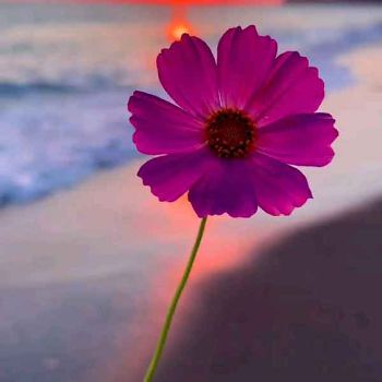 دانلود آهنگ جدید ۱۴۰۳ شاد ریمیکس ۲۰۲۴ دانلود آهنگ جدید ۱۴۰۳ شاد ریمیکس ۲۰۲۴